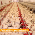 Tianrui equipo de crianza de la tierra para pollos de engorde